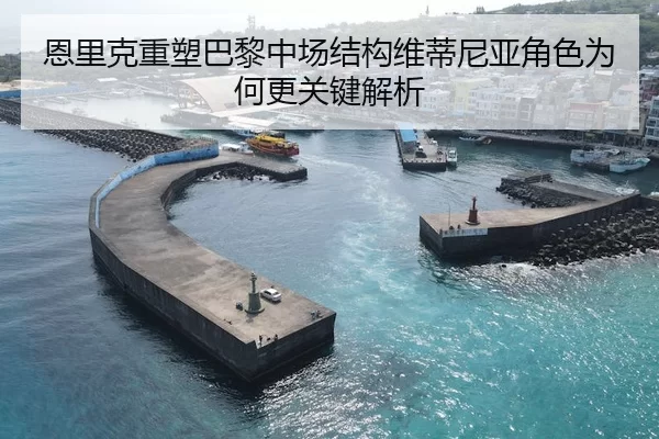 恩里克重塑巴黎中场结构维蒂尼亚角色为何更关键解析