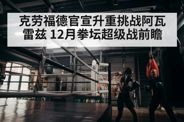 boxer training